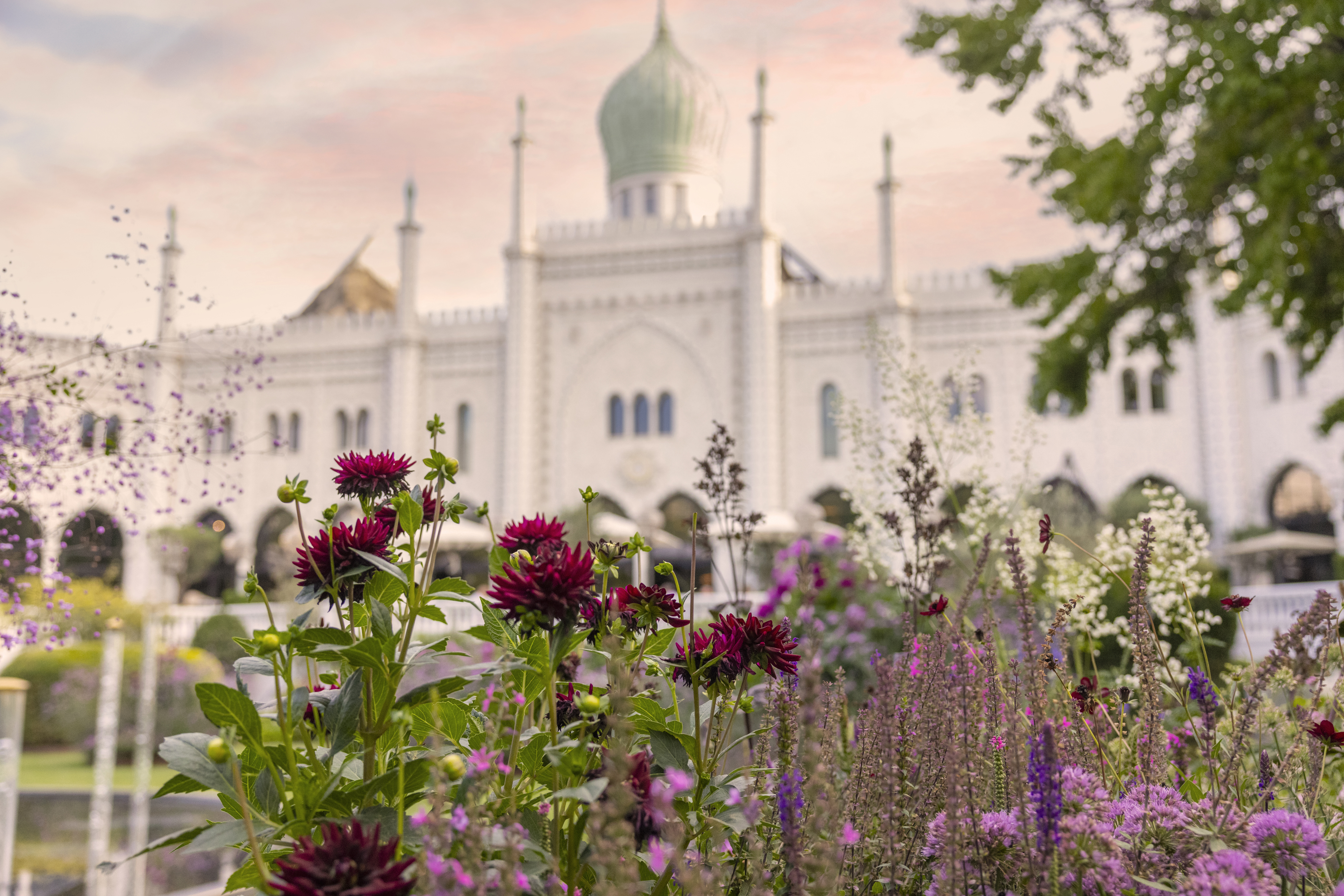 lomsterbede fyldt med farverige blomster foran Nimb Hotel i Tivoli, med den ikoniske bygning og dens grønne kuppel i baggrunden under en rosa himmel.