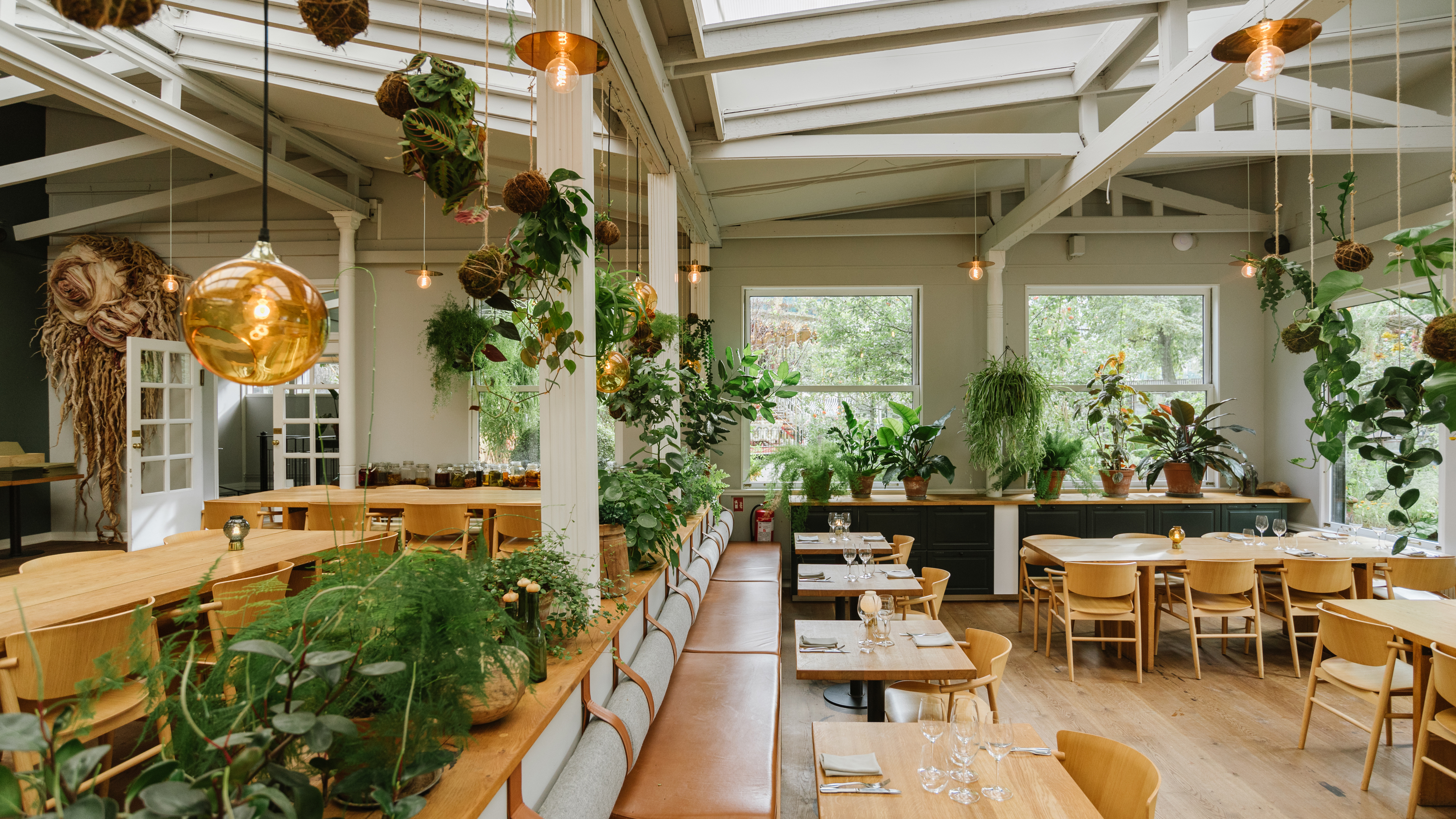 Restaurant indrettet med naturligt træ, hængende planter og store vinduer, der lukker masser af naturligt lys ind.