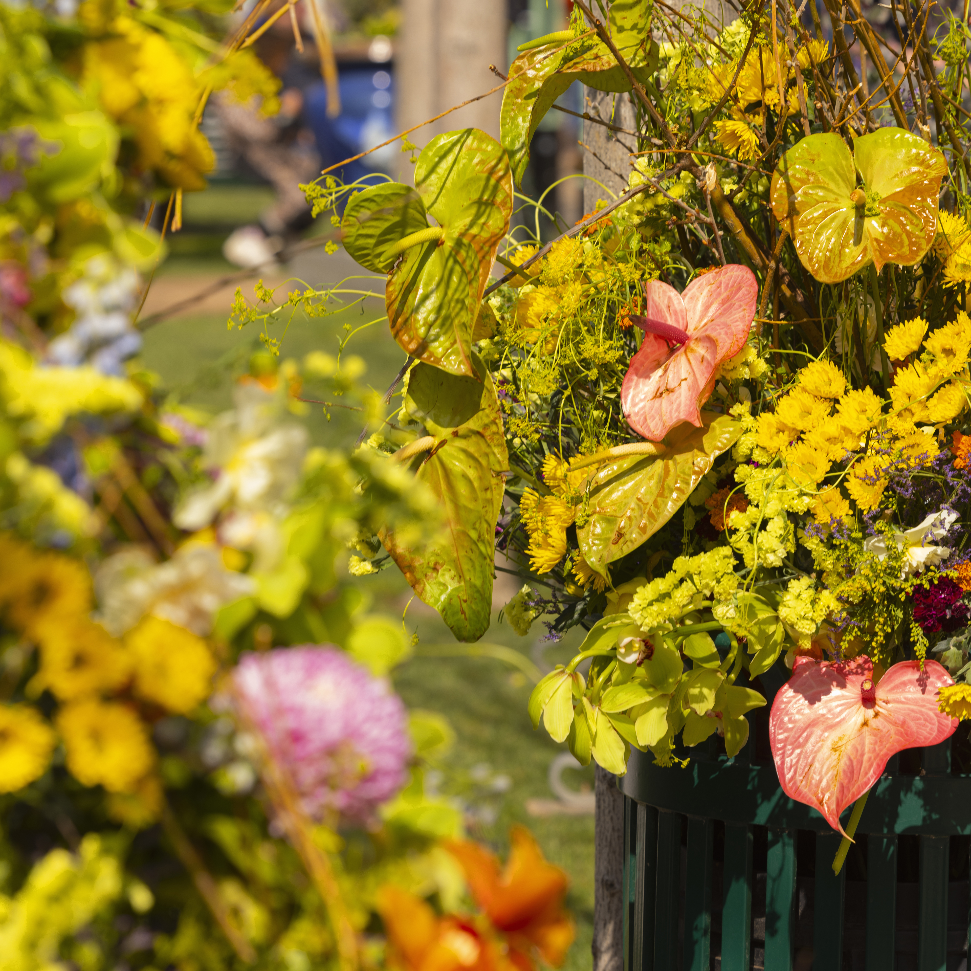 Farverige blomsterdekorationer i Haven i Tivoli med forskellige typer blomster, herunder gule, grønne og pink nuancer, som skaber en smuk påskestemning.